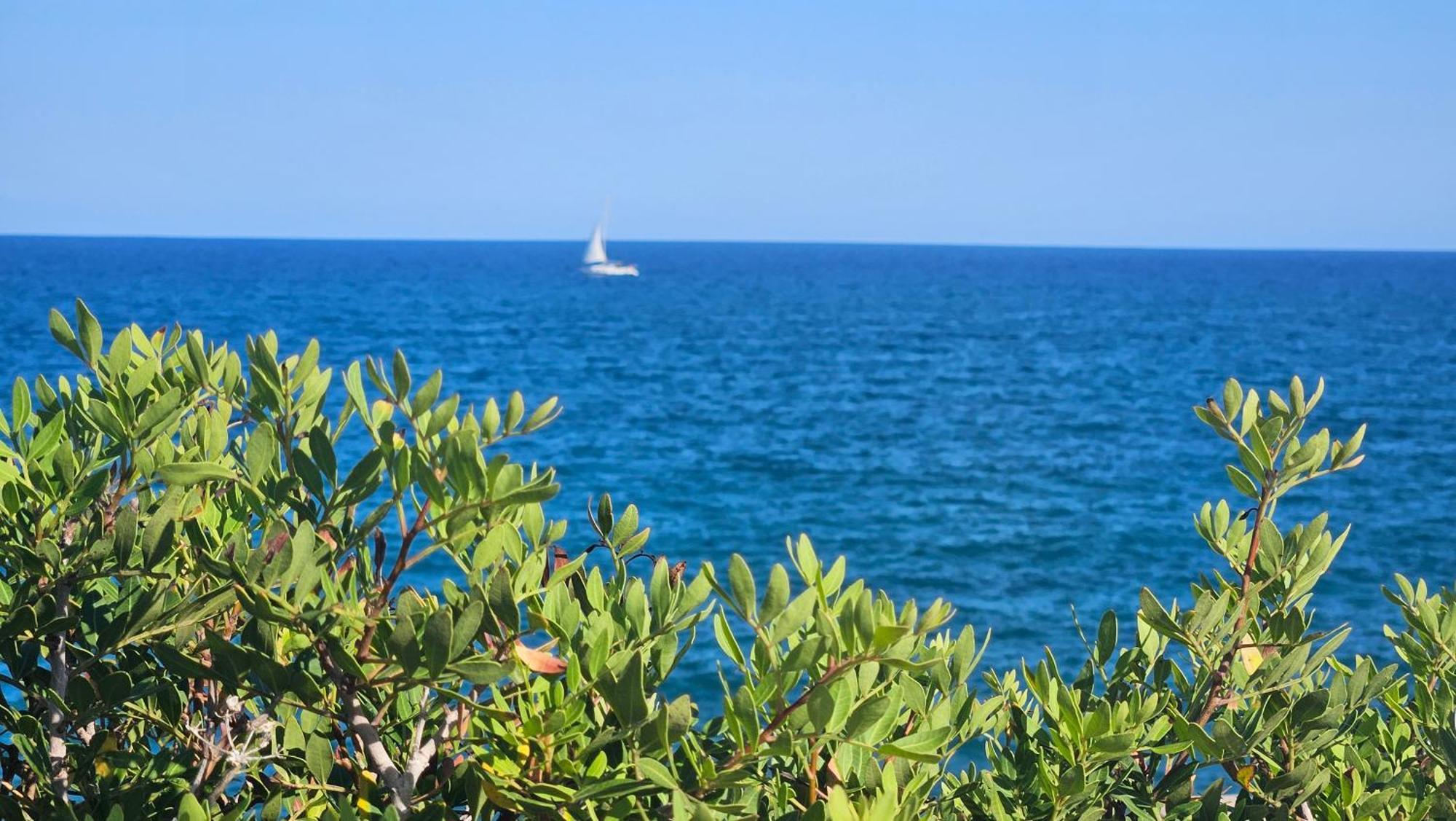 Royal Oropesa Appartement Oropesa del Mar Buitenkant foto